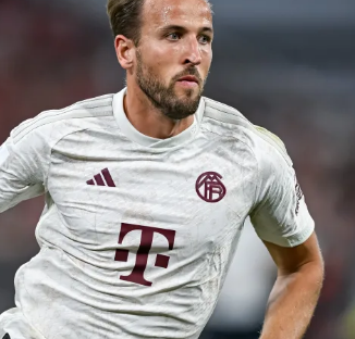 锋线端找到 锋线端找到