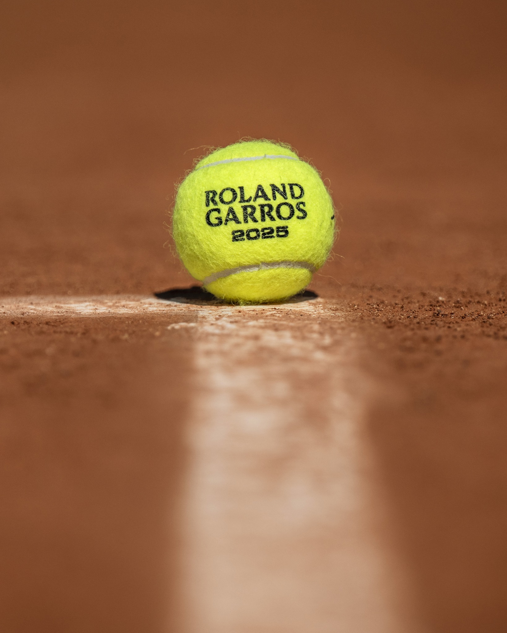 支持多元化 支持多元化