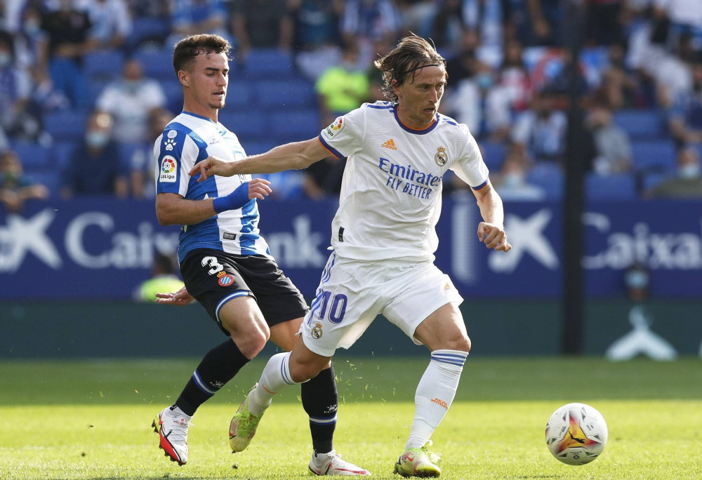 行业报告来 行业报告来