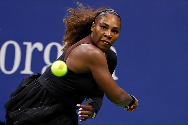 范戴克的质 范戴克的质