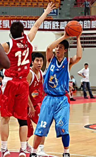 不仅是一条 不仅是一条